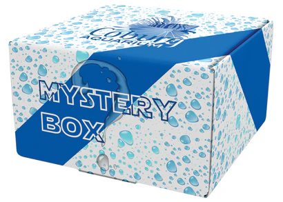 The Ultimate Guide to Mystery Boxes: Unveiling the Thrill of the Unknown mystery boxes