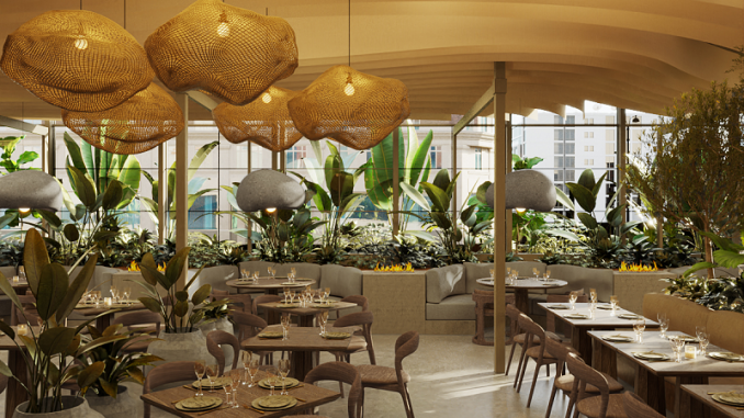 Meduza NYC: A Deep Dive into New York City's Premier Mediterranean Dining Experience Meduza NYC