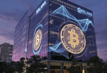 Is 2024 the Year Cryptocurrency Investment Strategies Finally Change the Game? 특성이미지