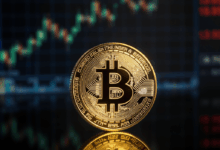 Is Bitcoin's 2024 Surge Just a Mirage? Unpacking the Price Prediction Puzzle 특성이미지