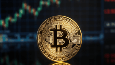 Is Bitcoin's 2024 Surge Just a Mirage? Unpacking the Price Prediction Puzzle 특성이미지